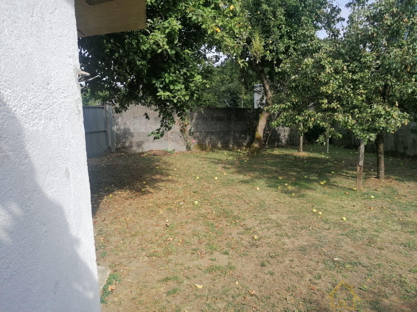 Ground
