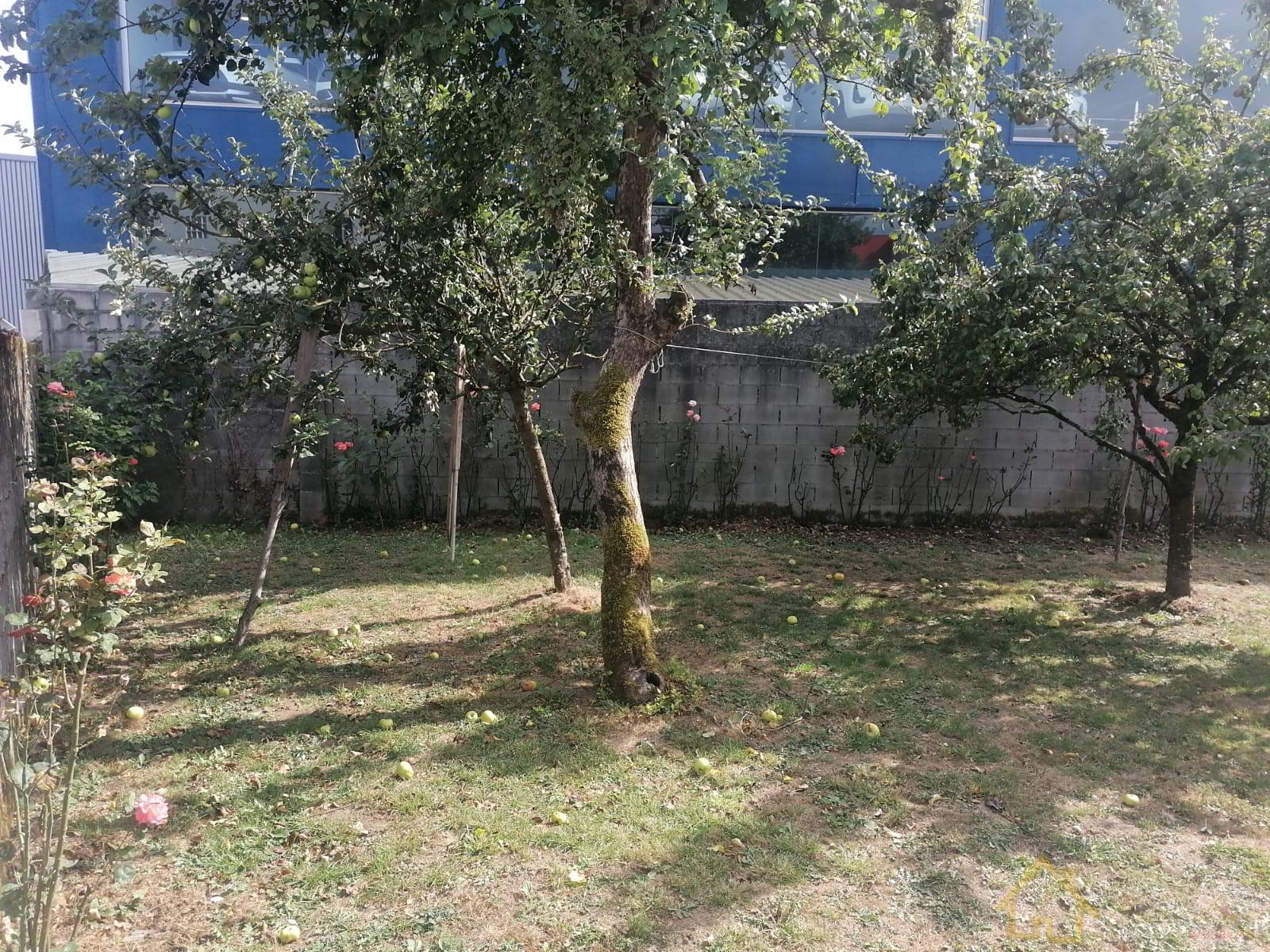 Ground
