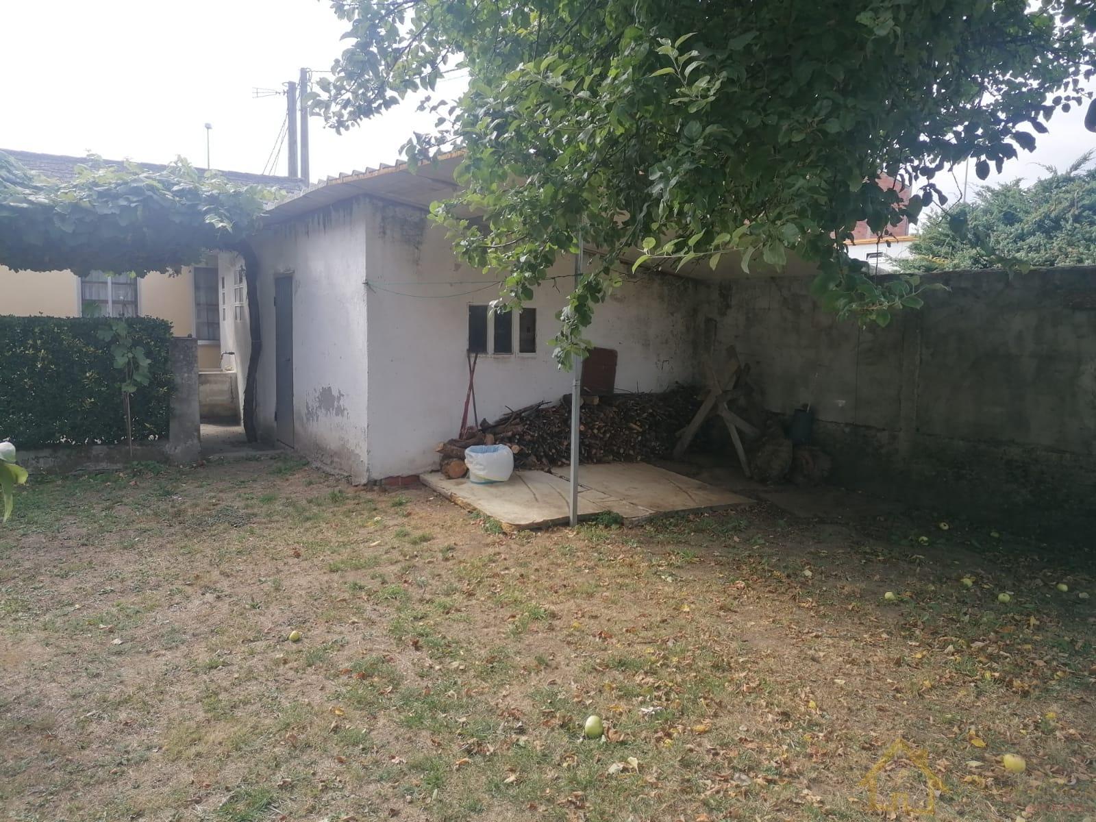 Ground