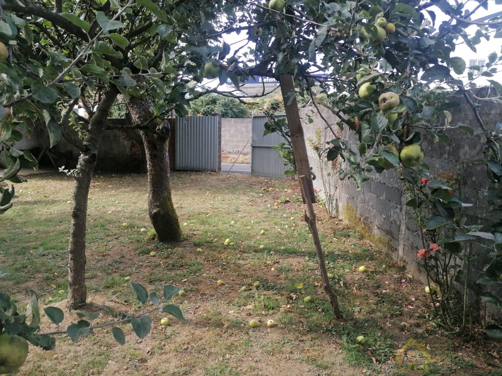 Ground
