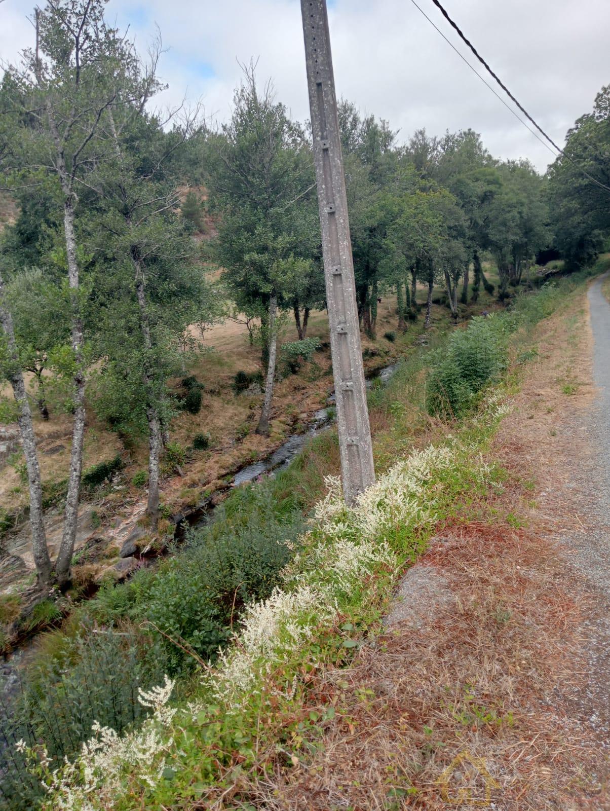 Surroundings