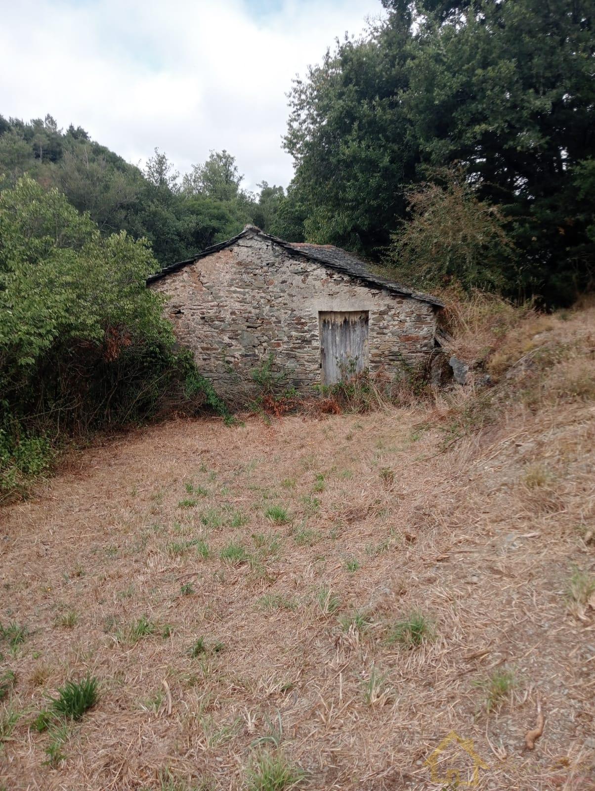Surroundings