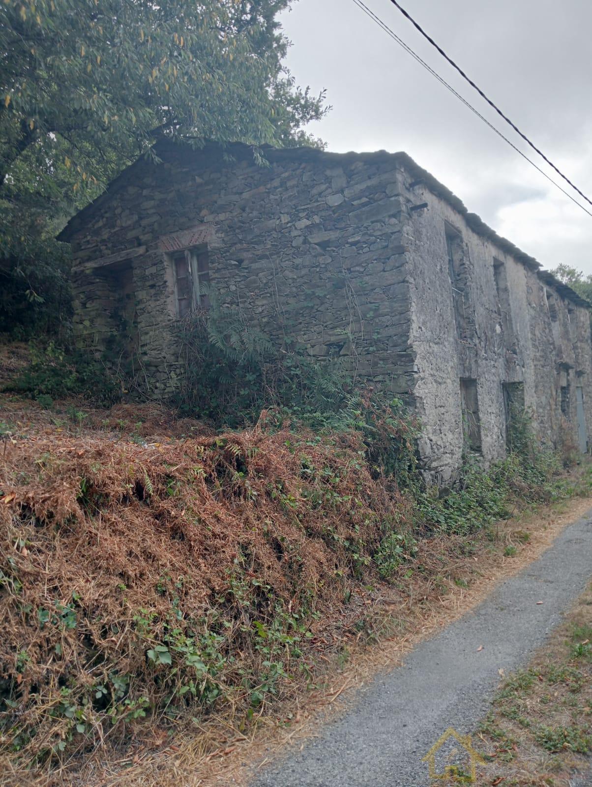 Surroundings