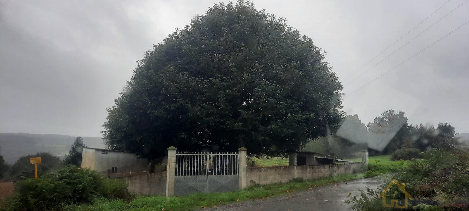 Alrededores