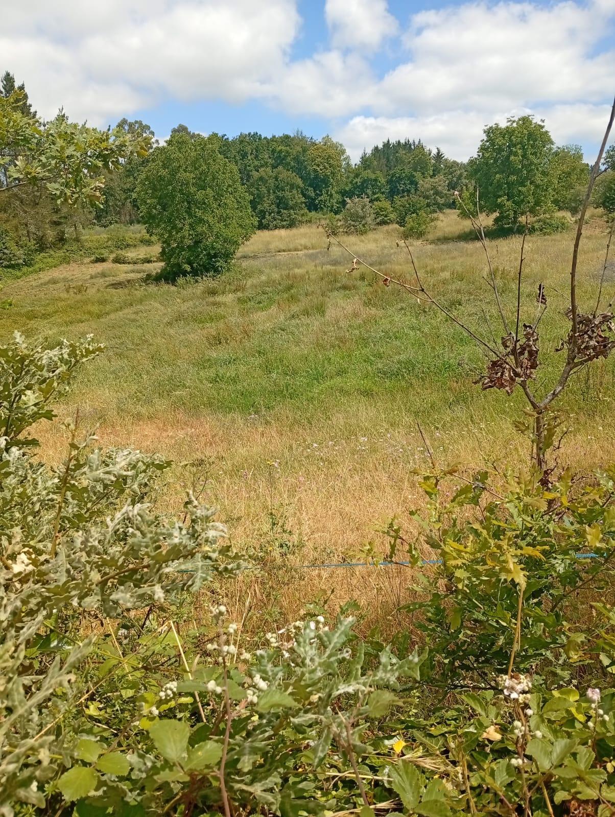 Venta de casa en Castroverde Venta de casa en Castroverde