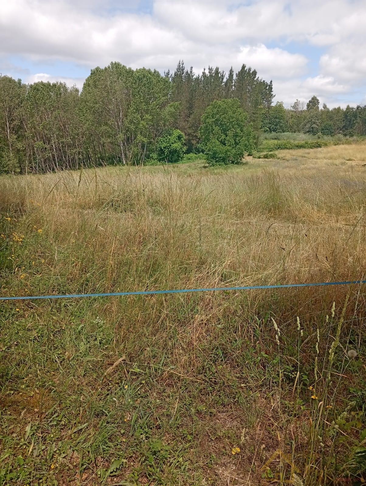 Venta de casa en Castroverde Venta de casa en Castroverde