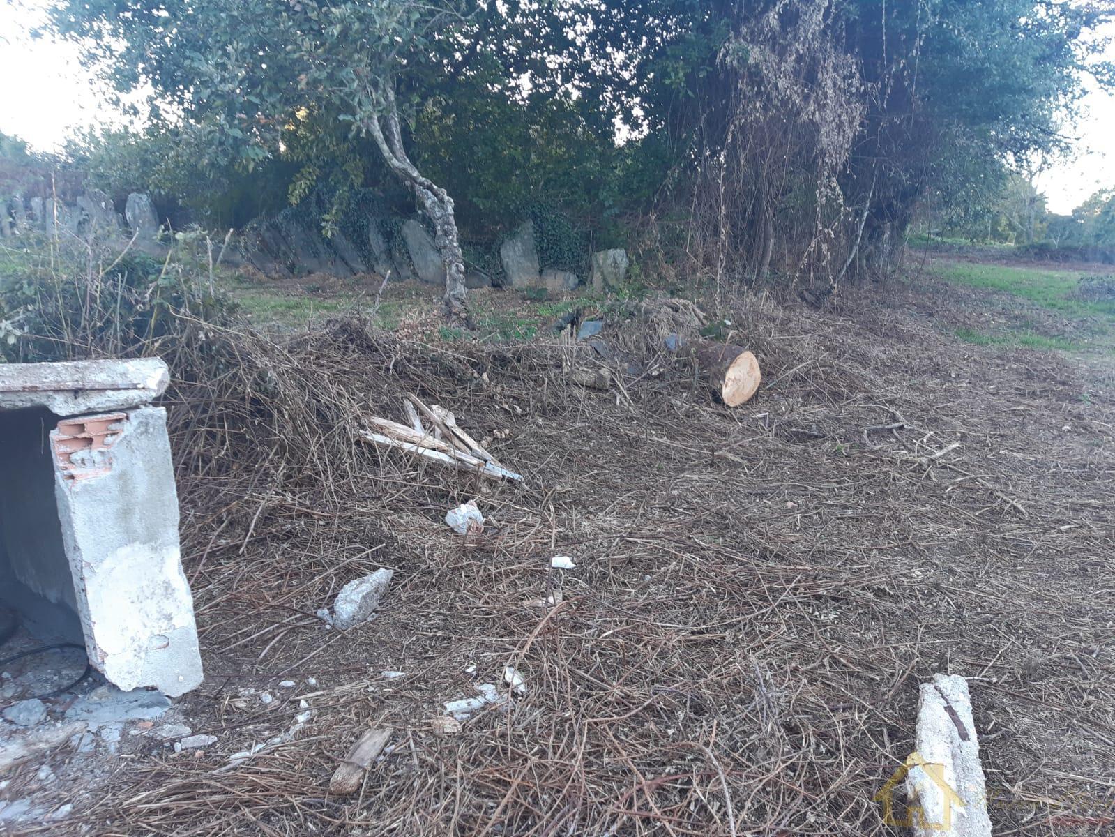 Venta de casa en Guntín Venta de casa en Guntín