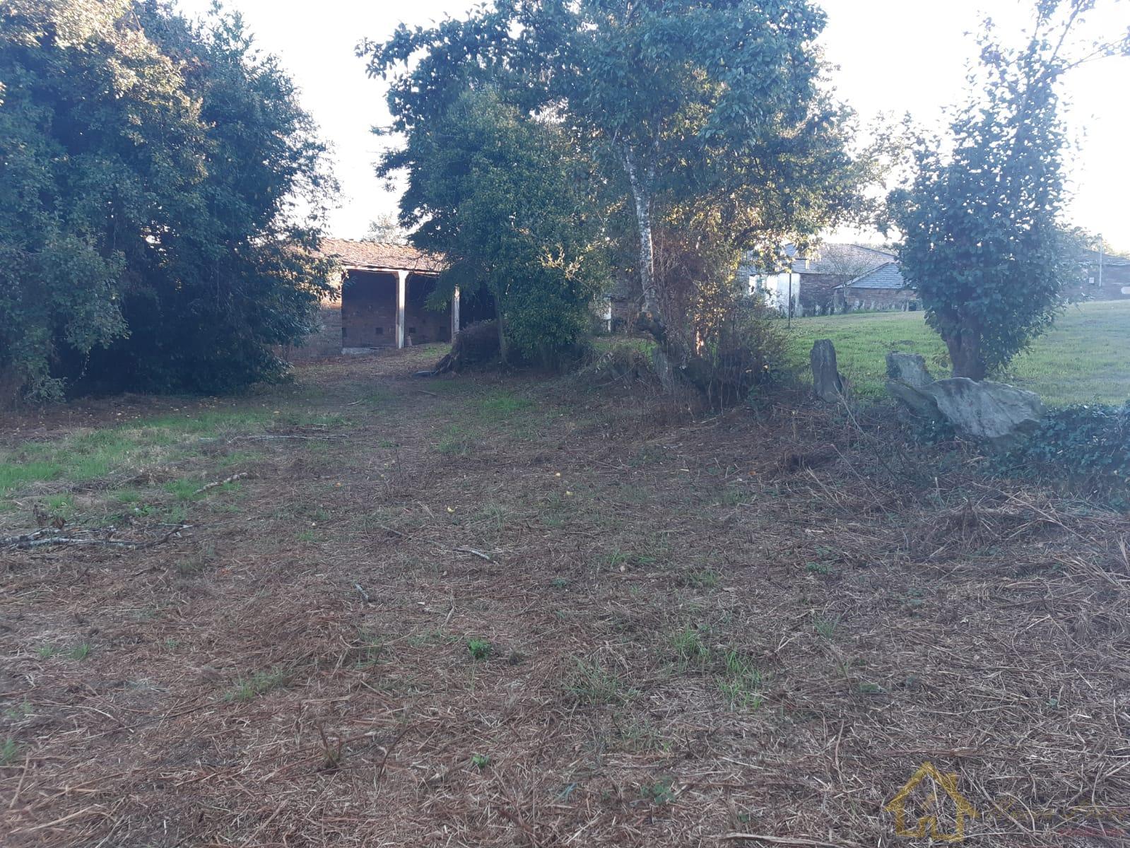 Venta de casa en Guntín Venta de casa en Guntín