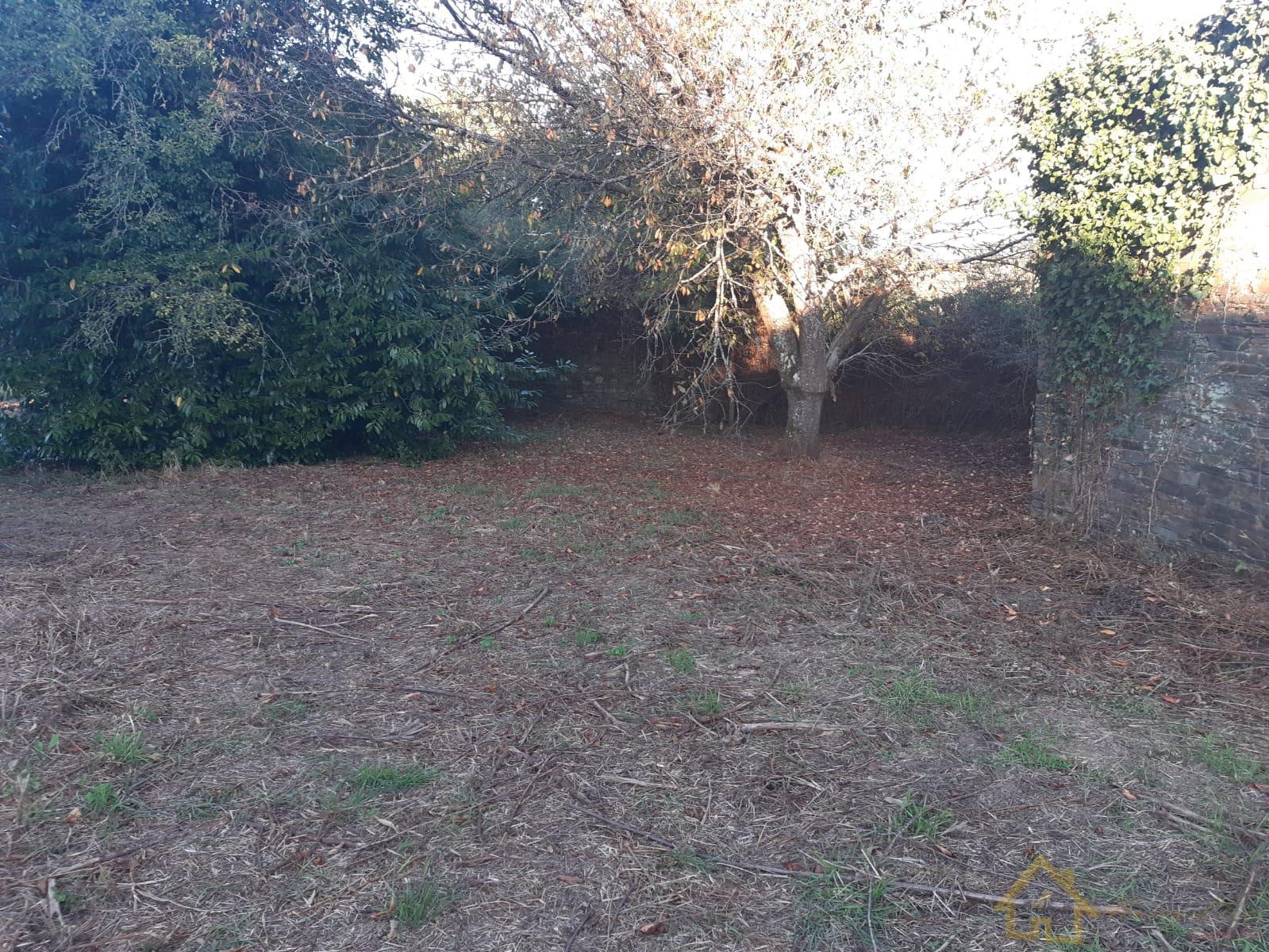 Venta de casa en Guntín Venta de casa en Guntín