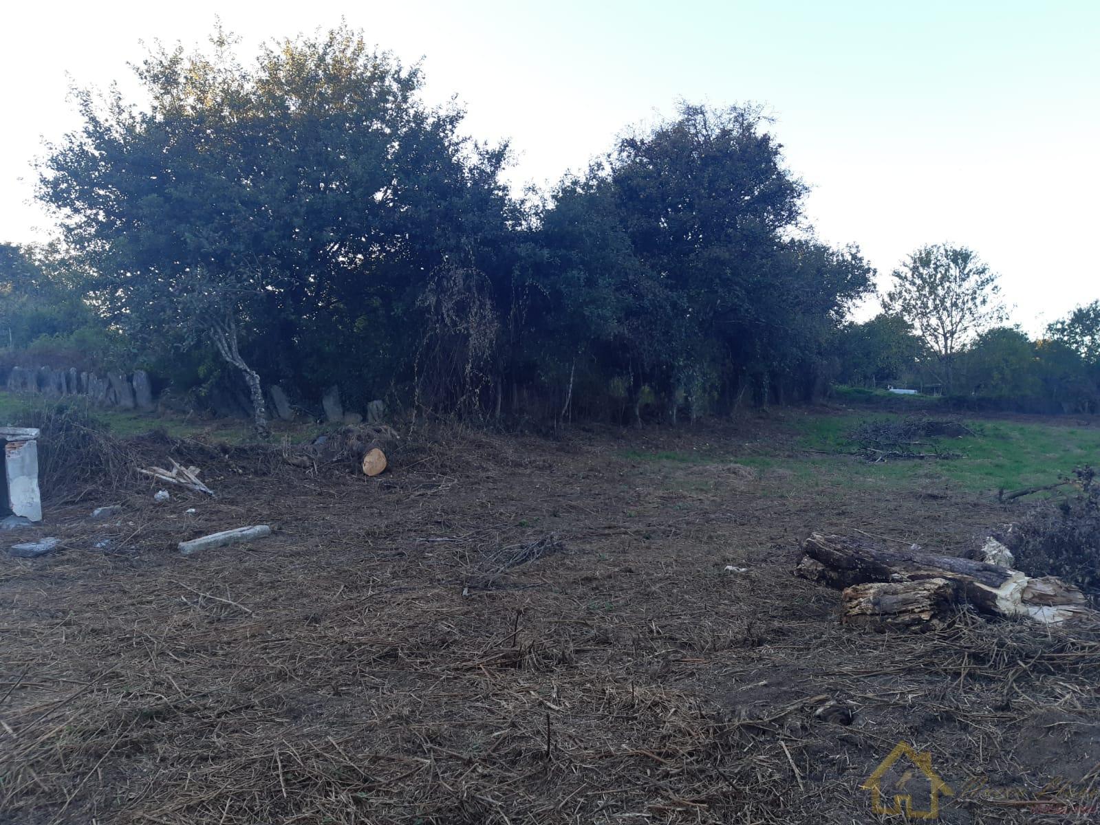 Venta de casa en Guntín Venta de casa en Guntín