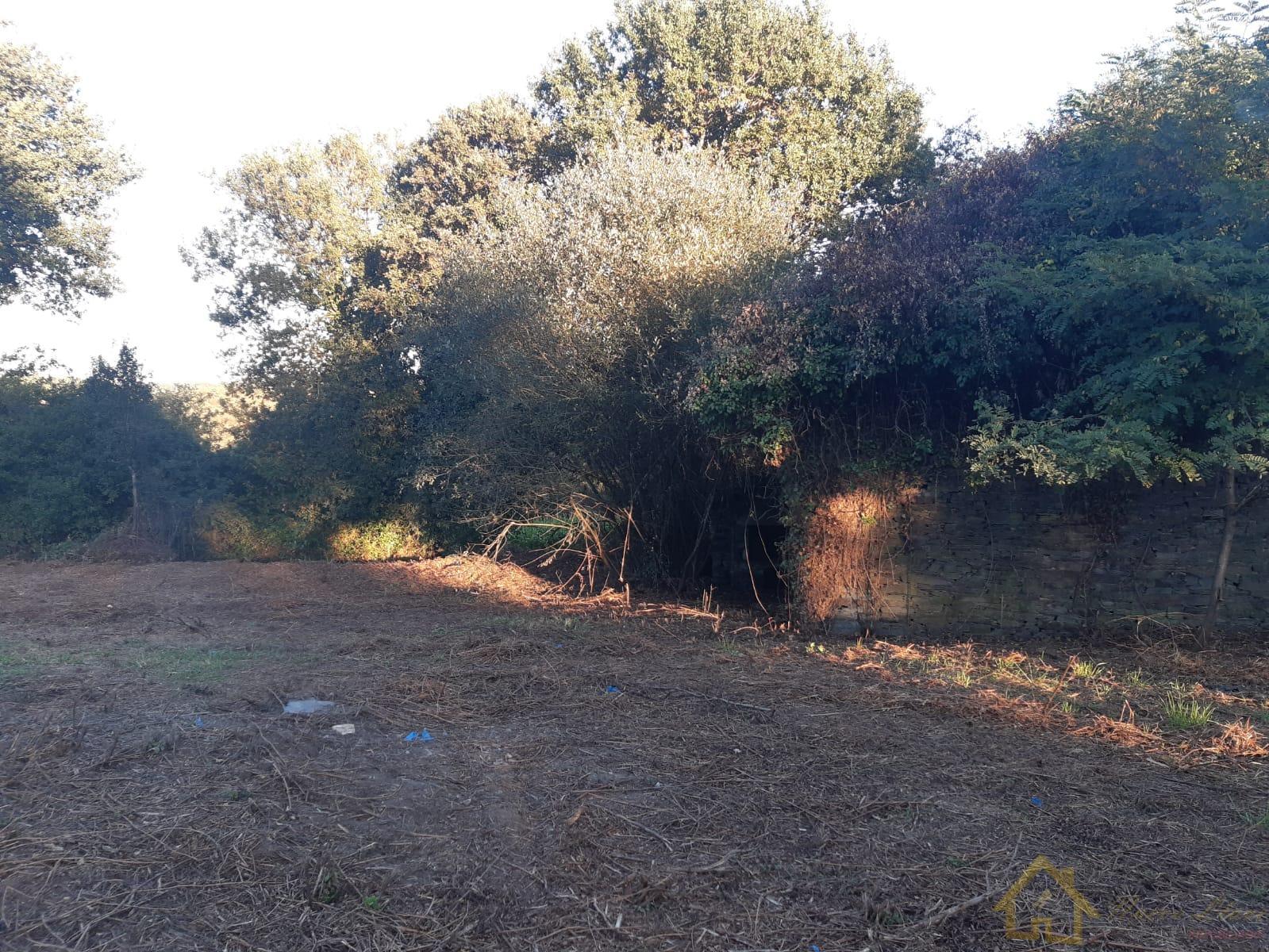 Venta de casa en Guntín Venta de casa en Guntín