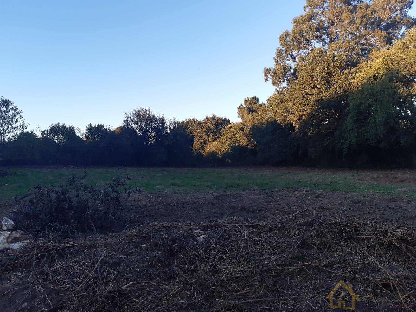 Venta de casa en Guntín Venta de casa en Guntín