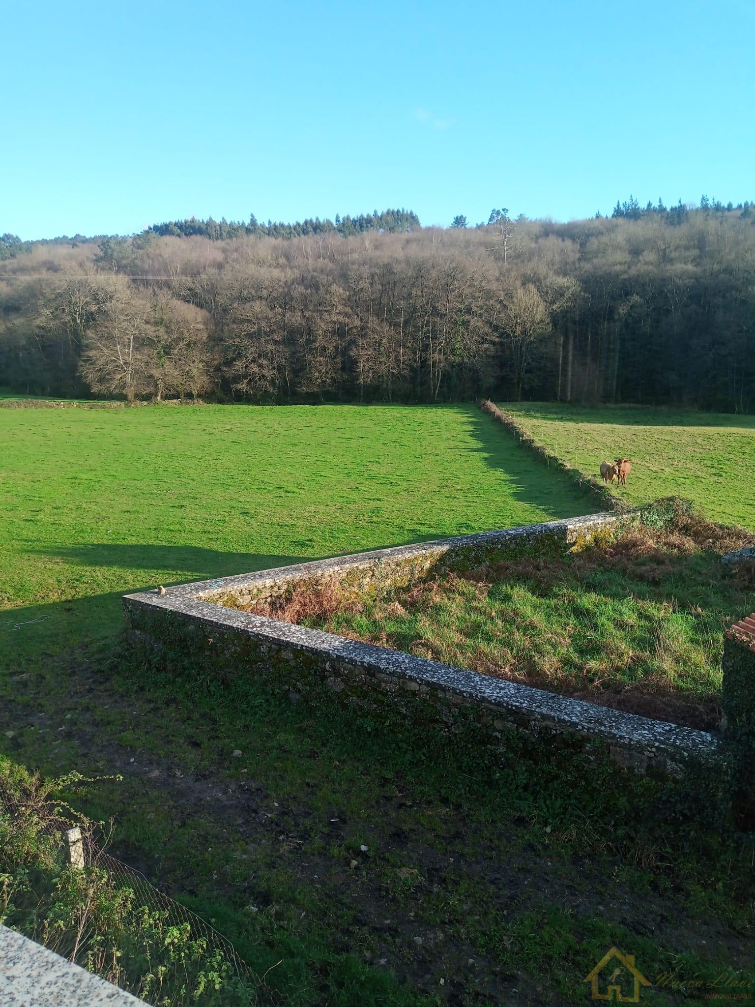 Venta de casa en Palas de Rei Venta de casa en Palas de Rei