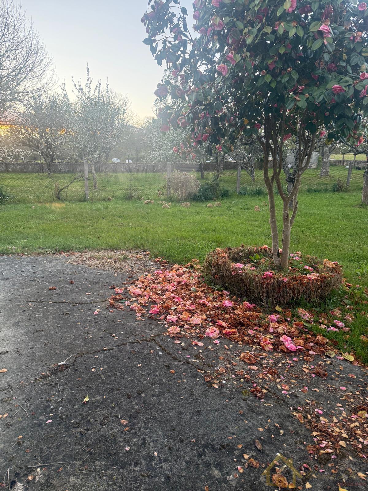 Venta de casa en Friol