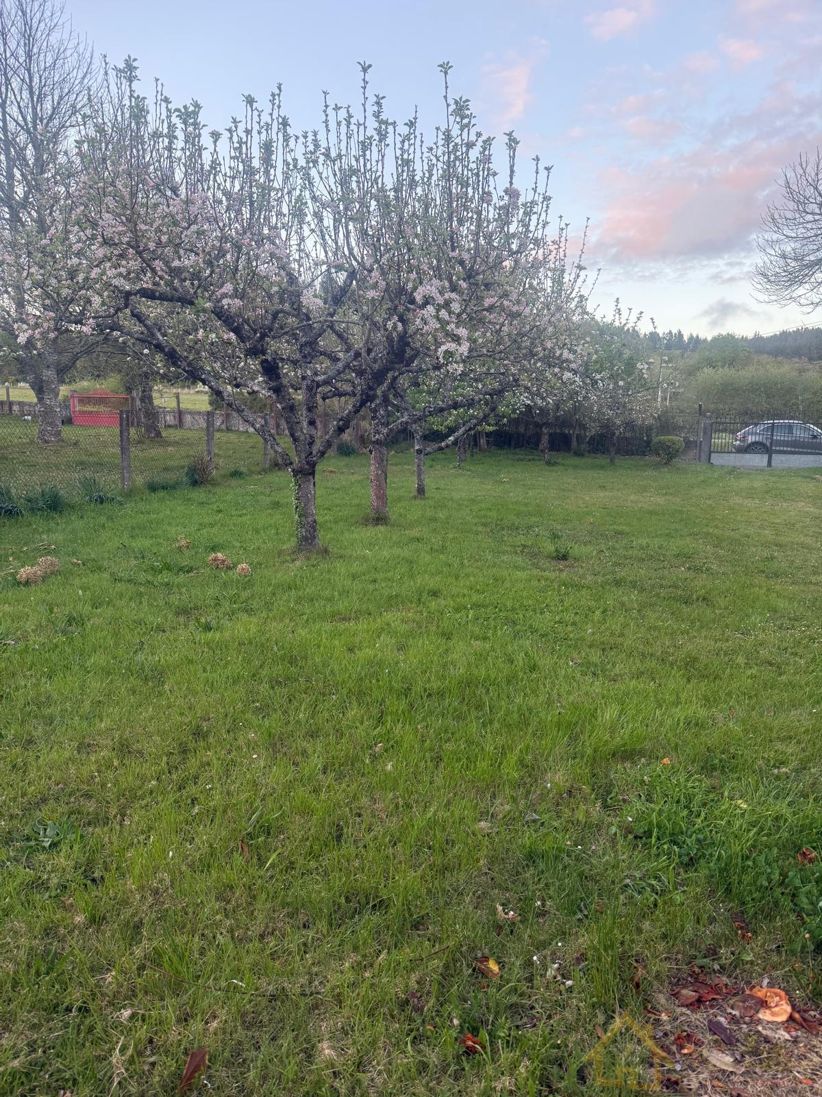 Venta de casa en Friol