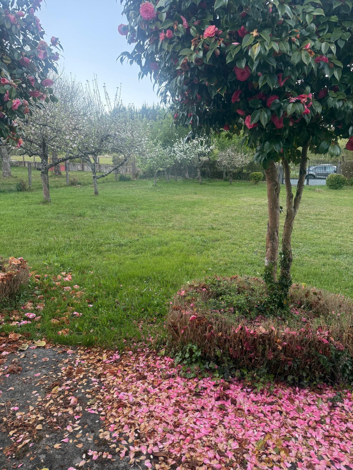 Venta de casa en Friol