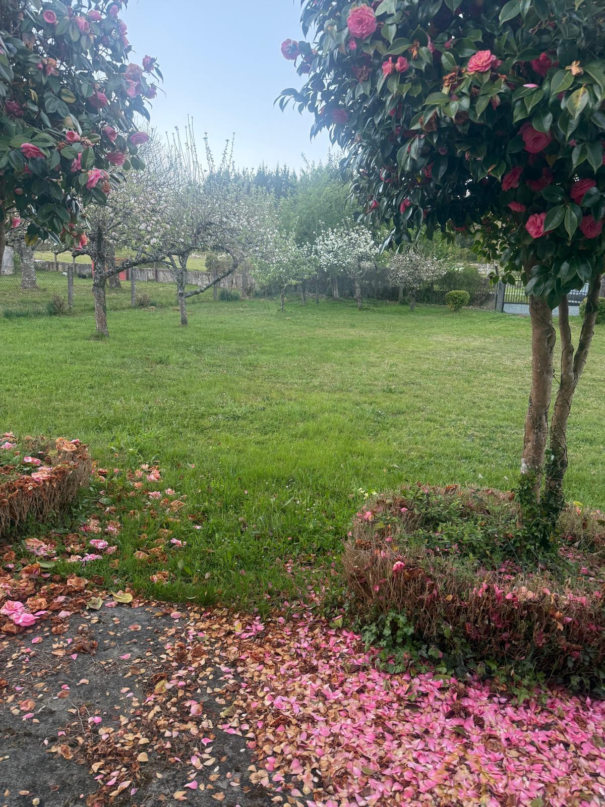 Venta de casa en Friol