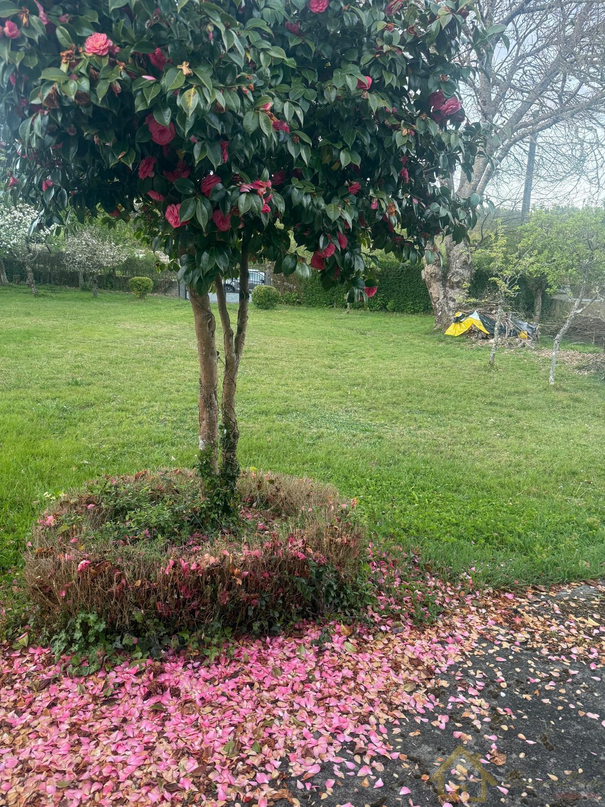 Venta de casa en Friol