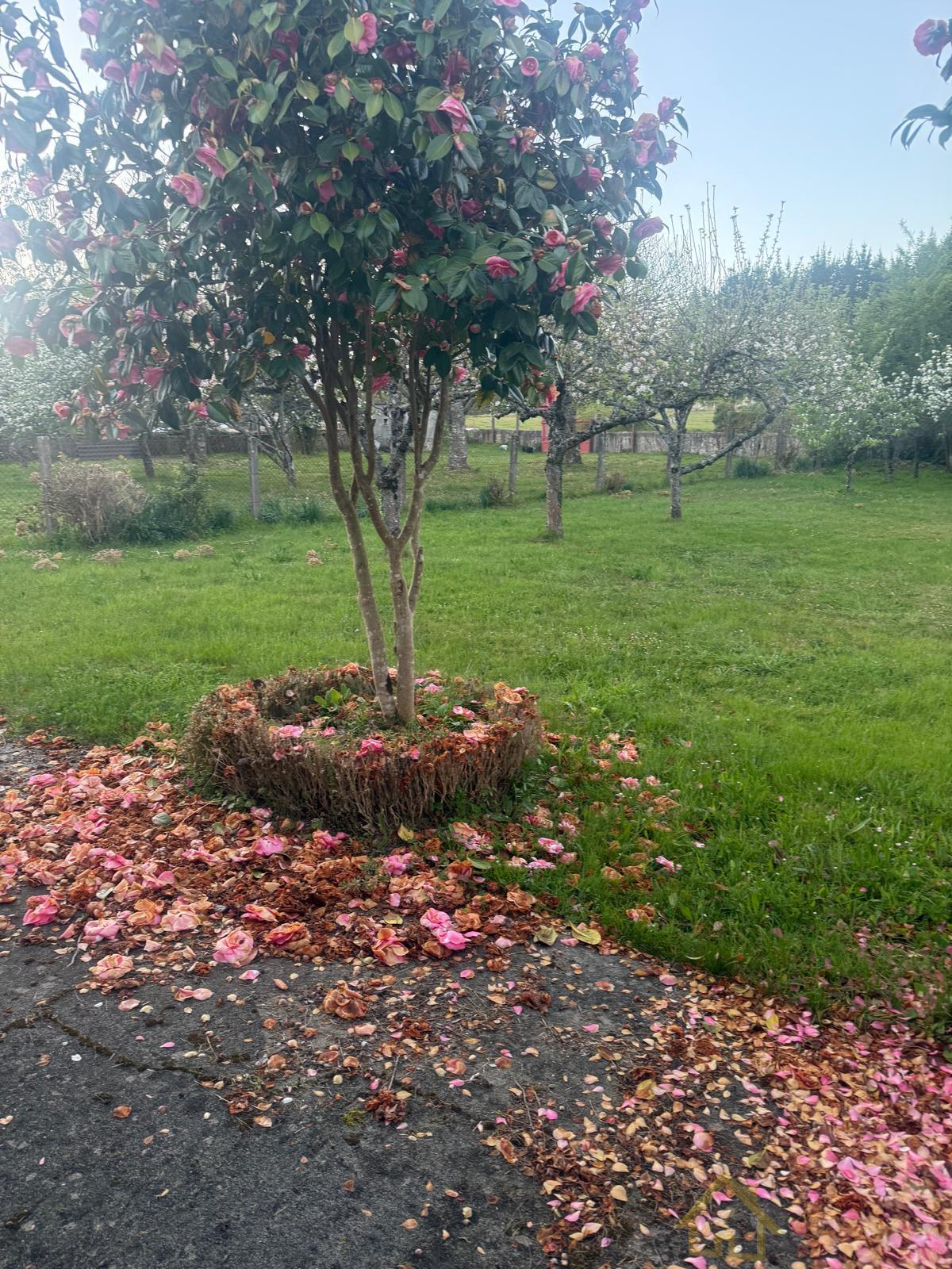 Venta de casa en Friol