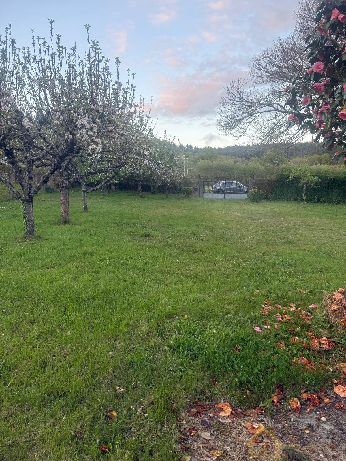 Venta de casa en Friol