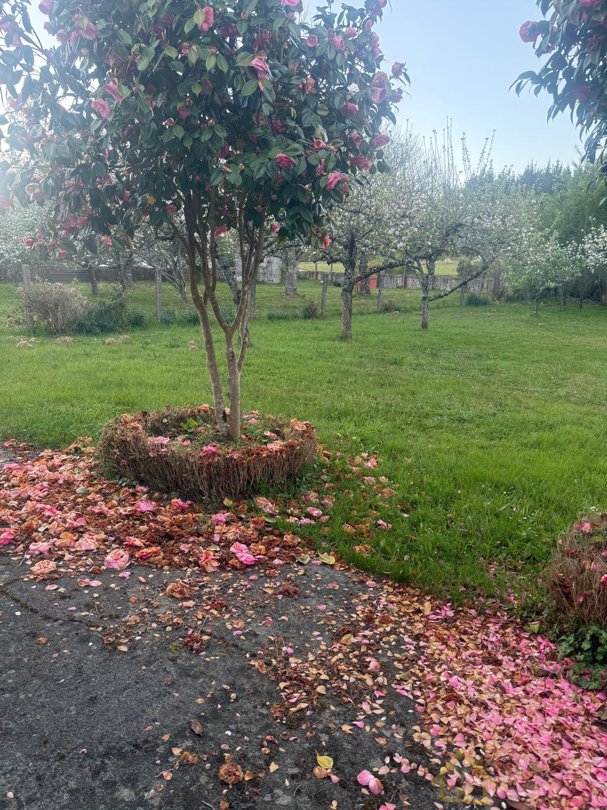 Venta de casa en Friol