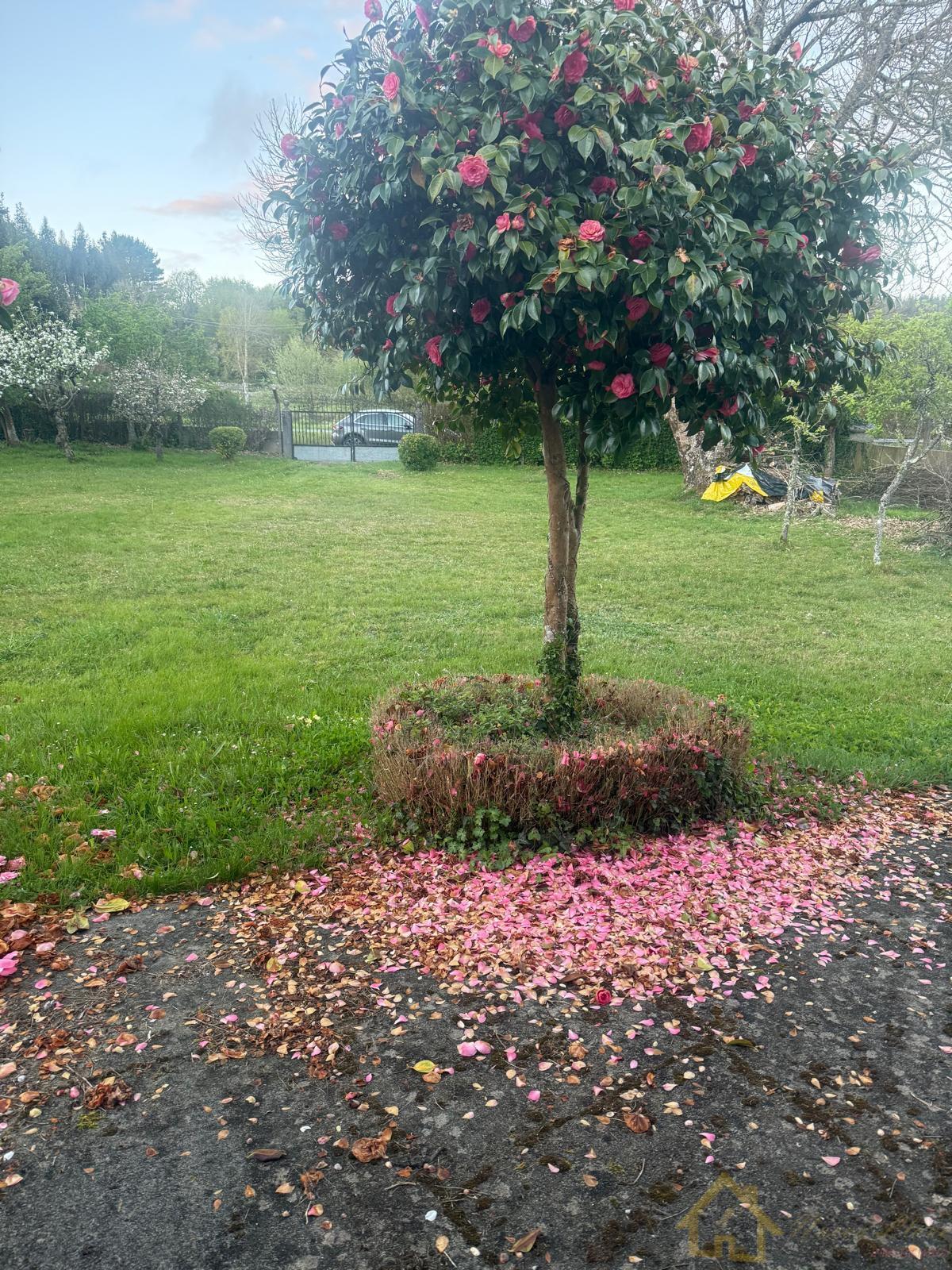 Venta de casa en Friol