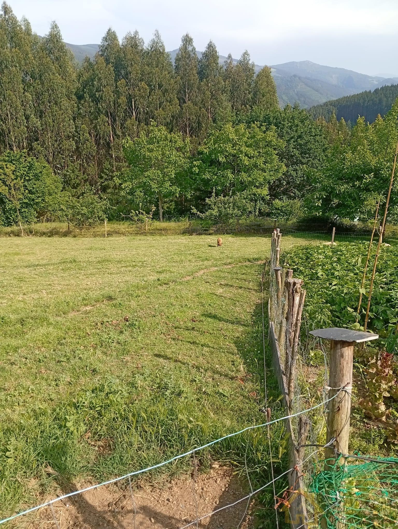 Venta de casa en Riotorto