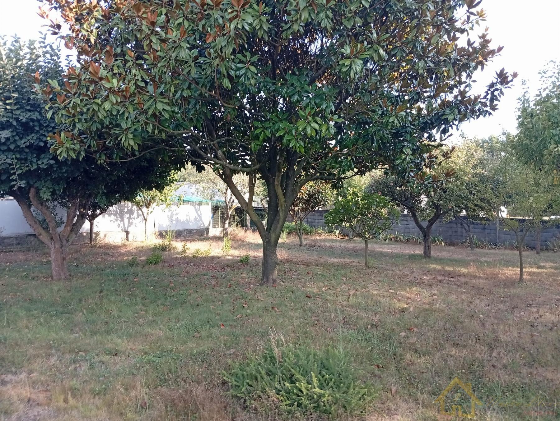 Terreno