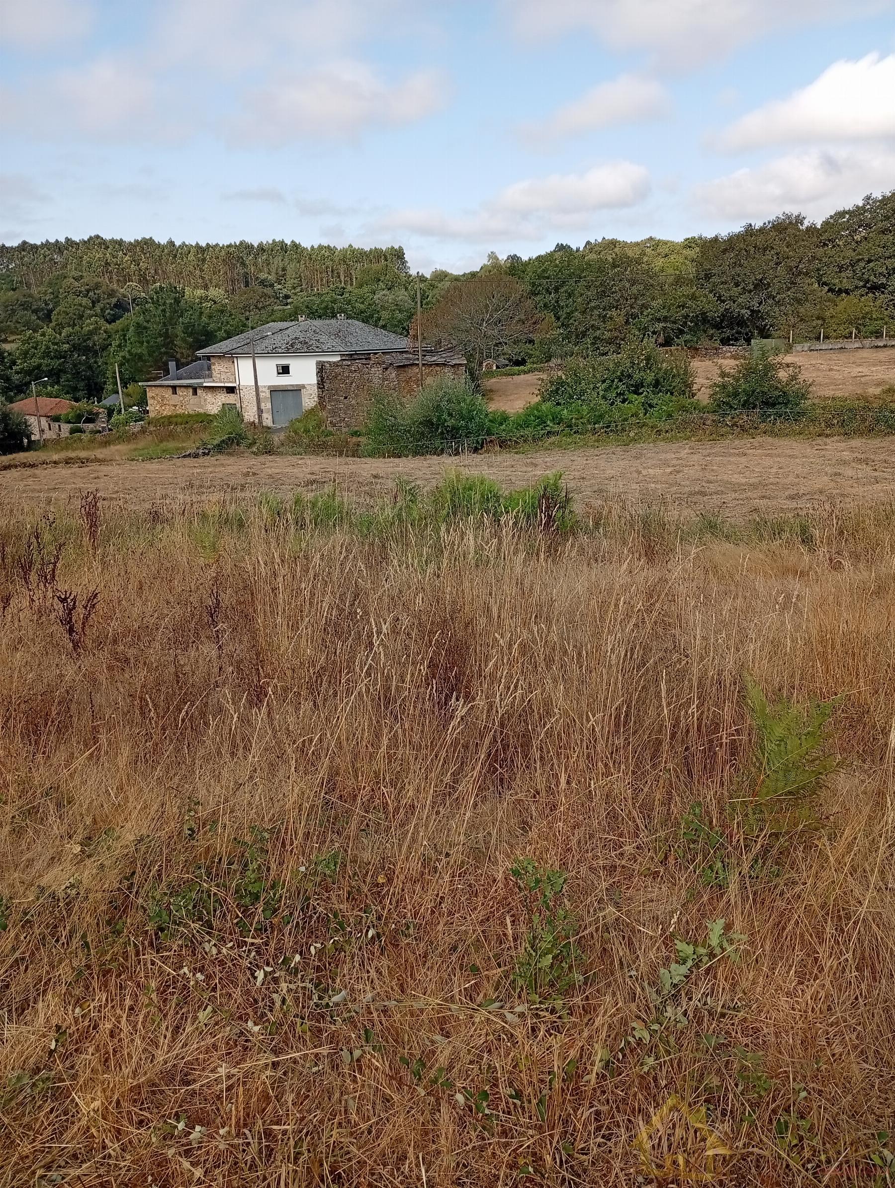 Ground