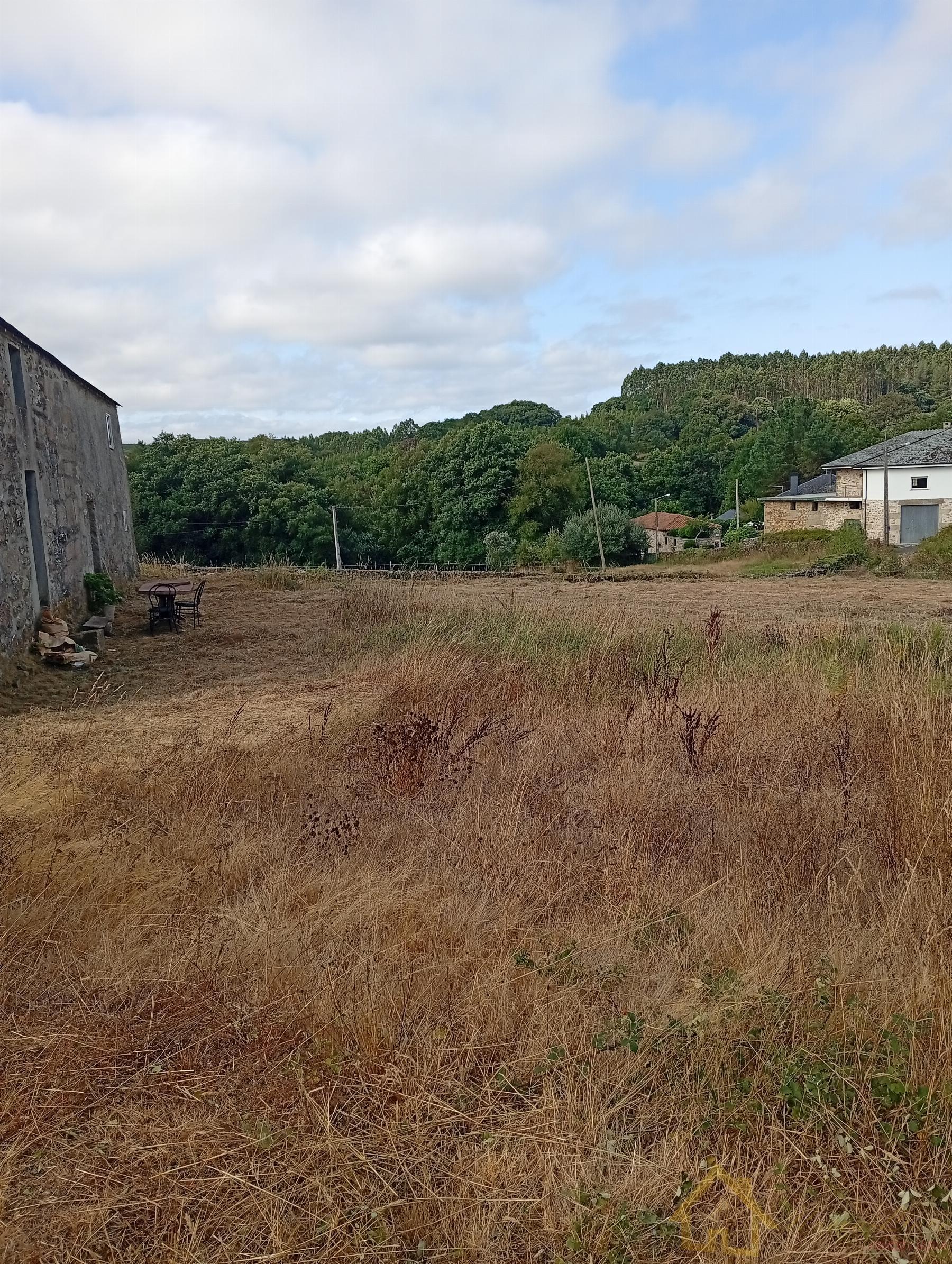 Ground