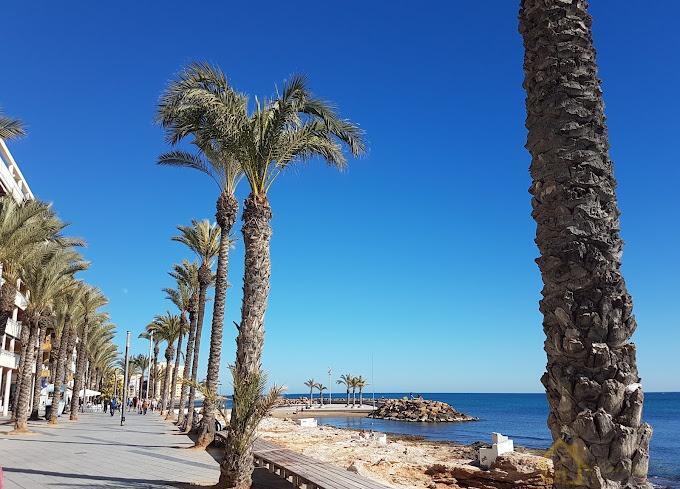 Venta de local en Torrevieja