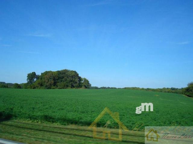 For sale of land in Lugo