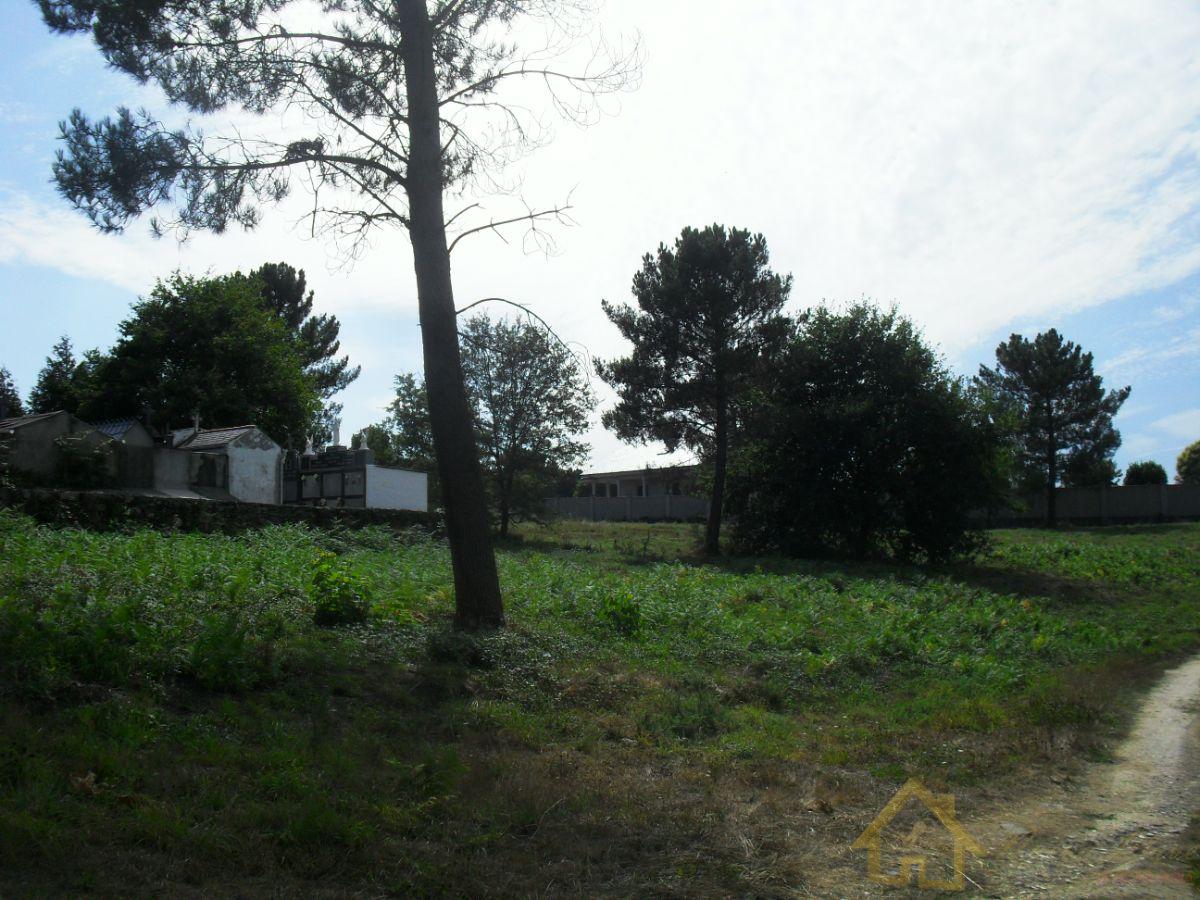 For sale of land in Lugo