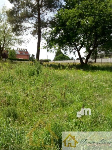 For sale of land in Lugo