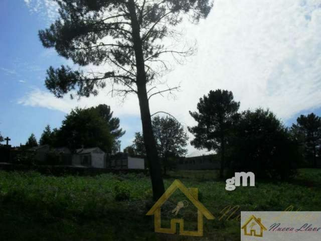For sale of land in Lugo