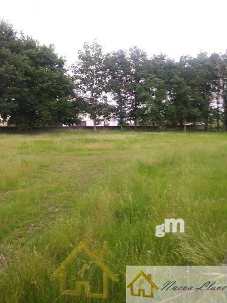 For sale of land in Lugo