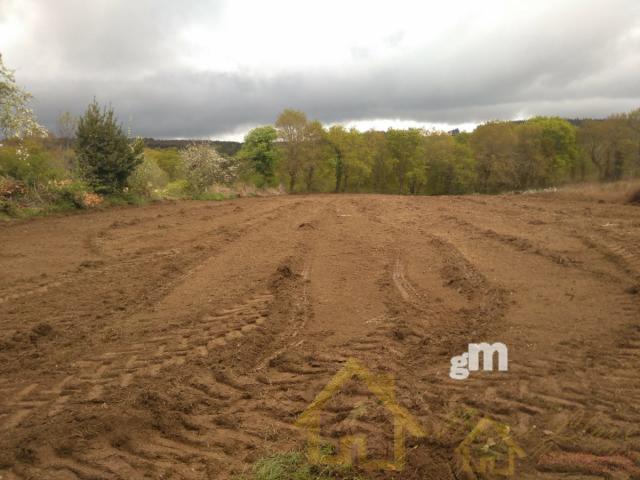 For sale of land in Lugo