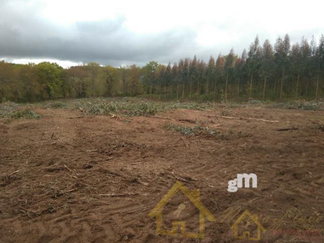 Venta de terreno en Lugo