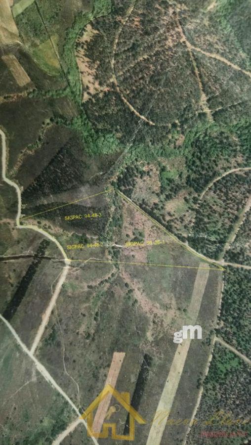 For sale of land in Baleira