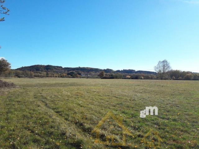 Venta de finca rústica en Outeiro de Rei