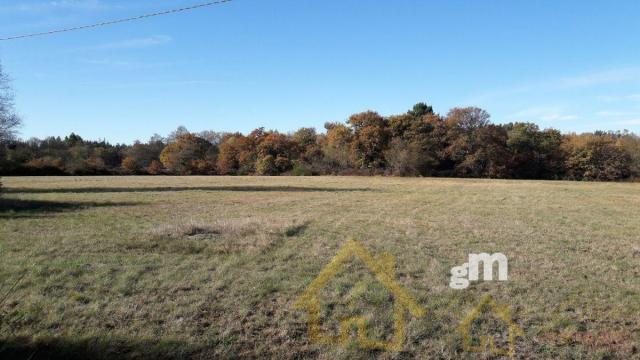 Venta de finca rústica en Outeiro de Rei