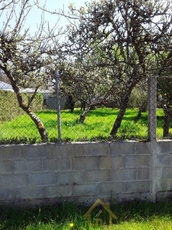 For sale of land in Corgo O