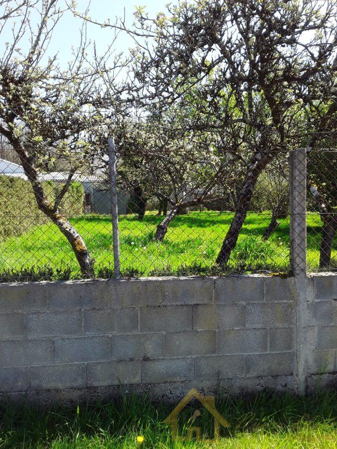 For sale of land in Corgo O