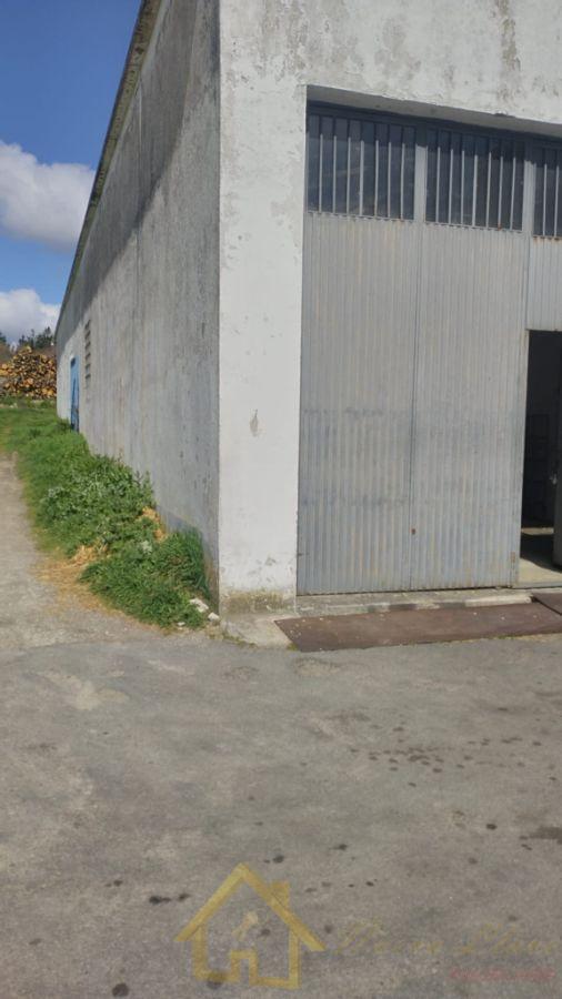 For rent of industrial plant/warehouse in Lugo