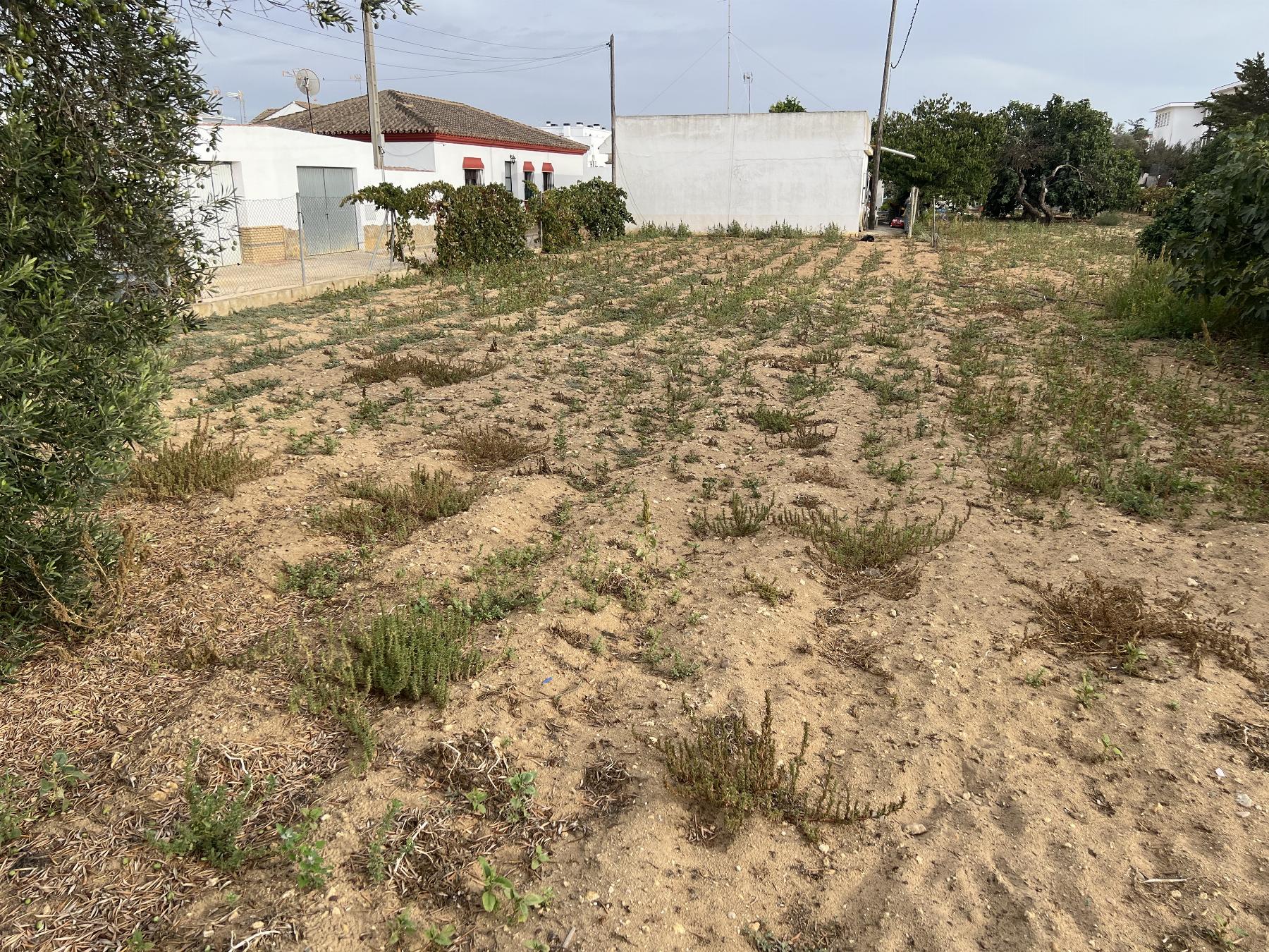 For sale of land in Chiclana de la Frontera