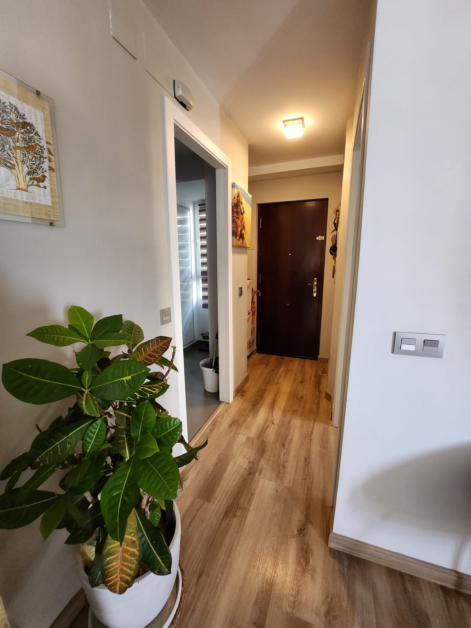 For sale of flat in Cádiz