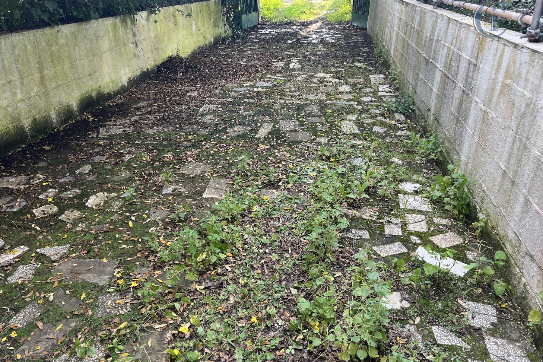 Entry/Exit