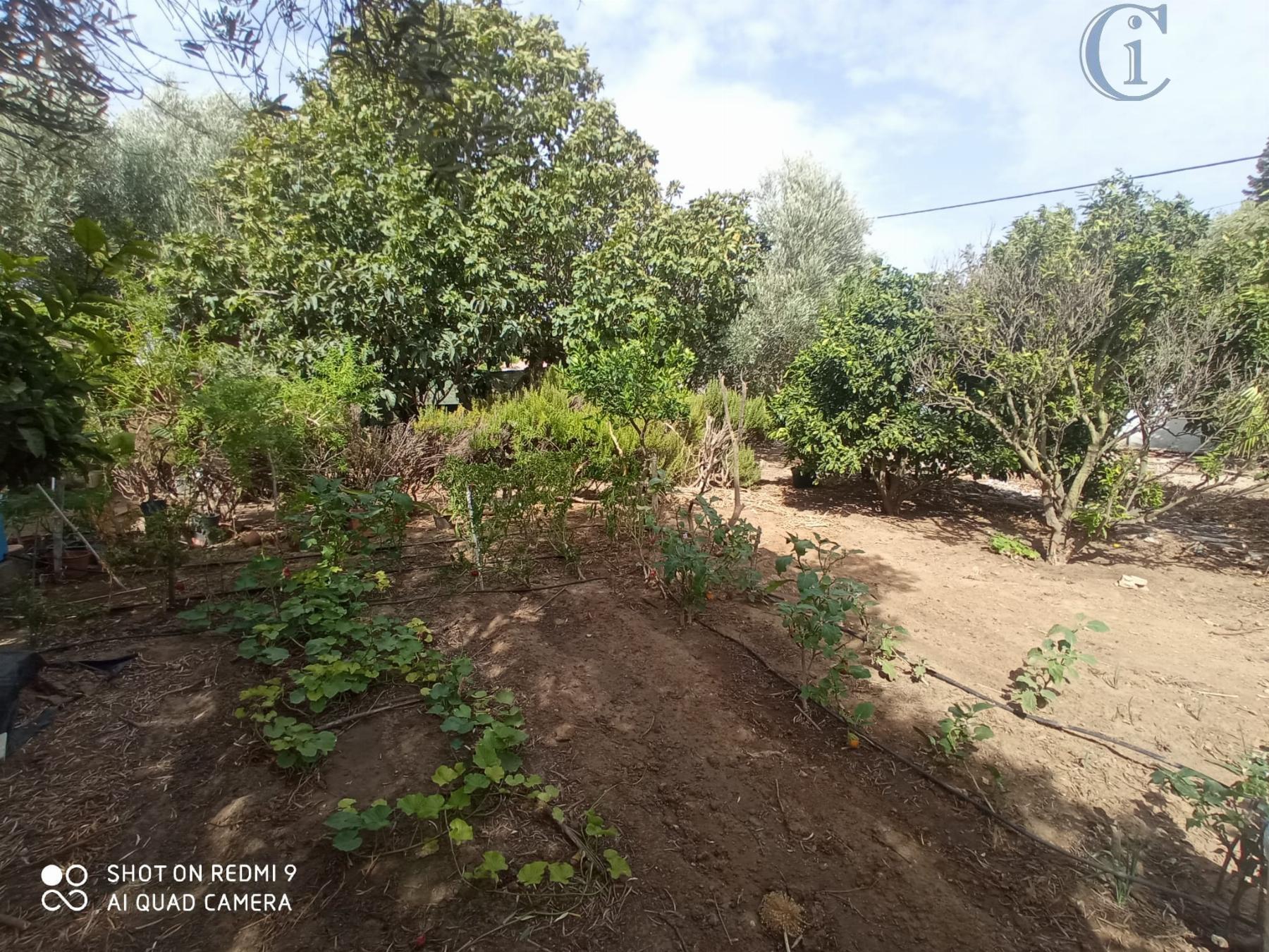 Venta de chalet en Puerto Real
