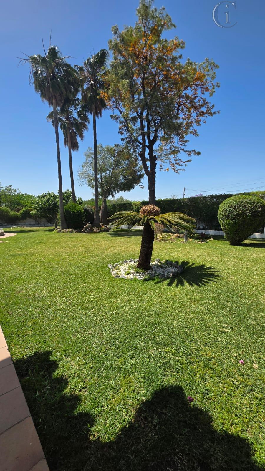 Venta de chalet en Arcos de la Frontera