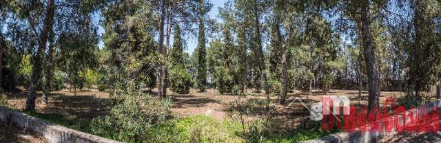 Vente de terrain dans Las Torres de Cotillas